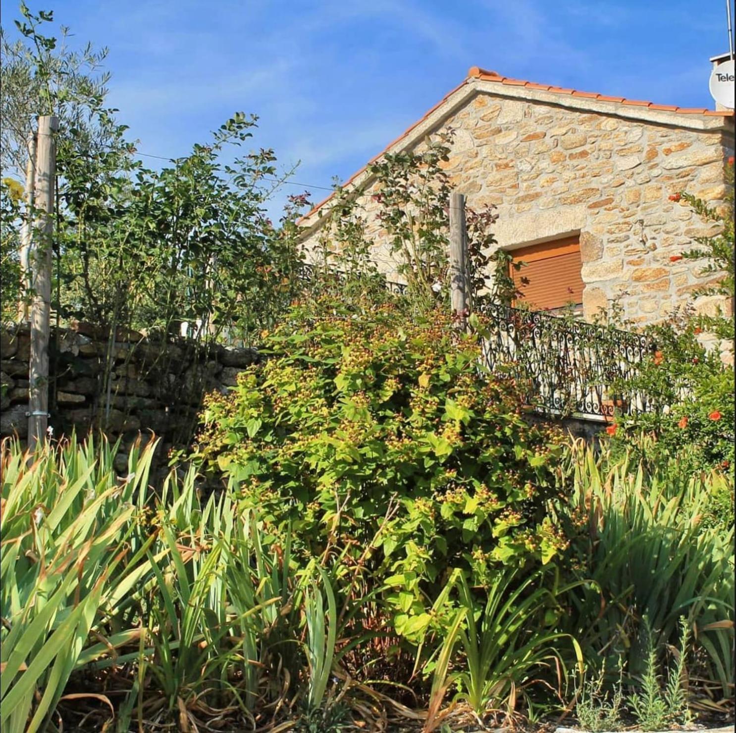 Lirios Da Granja - Casa De Campo Extérieur photo